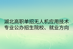 湖北高職單招無人機(jī)應(yīng)用技術(shù)專業(yè)