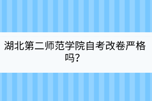 湖北第二師范學(xué)院自考改卷嚴(yán)格嗎？