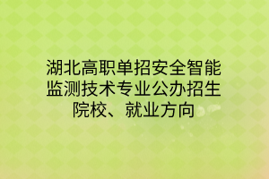 湖北高職單招安全智能監(jiān)測技術專業(yè)公辦招生院校、就業(yè)方向