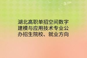 湖北高職單招空間數(shù)字建模與應用技術專業(yè)公辦招生院校、就業(yè)方向