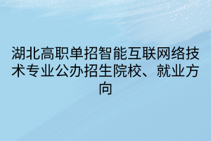 湖北高職單招智能互聯(lián)網(wǎng)絡(luò)技術(shù)專業(yè)公辦招生院校、就業(yè)方向