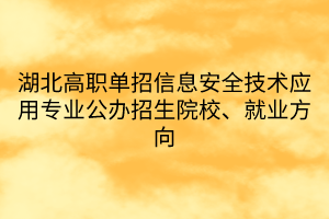 湖北高職單招信息安全技術(shù)應(yīng)用專業(yè)公辦招生院校、就業(yè)方向