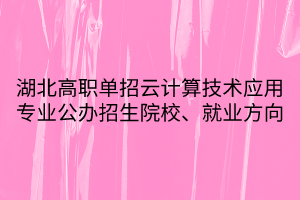 湖北高職單招云計算技術應用專業(yè)公辦招生院校、就業(yè)方向