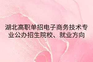 湖北高職單招電子商務技術專業(yè)公辦招生院校、就業(yè)方向