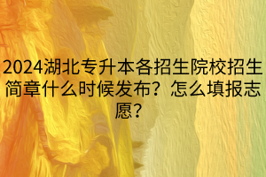 2024湖北專升本各招生院校招生簡(jiǎn)章什么時(shí)候發(fā)布？怎么填報(bào)志愿？(1)