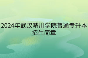 2024年武漢晴川學院普通專升本招生簡章(1)