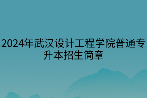 2024年武漢設(shè)計(jì)工程學(xué)院普通專升本招生簡(jiǎn)章(2)