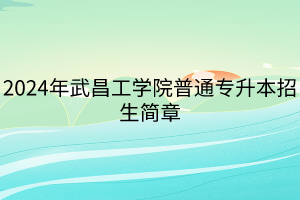 2024年武昌工學(xué)院普通專升本招生簡章