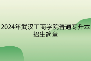 2024年武漢工商學(xué)院普通專升本招生簡(jiǎn)章(1)