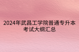 2024年武昌工學(xué)院普通專升本考試大綱匯總(1)