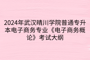 2024年武漢晴川學院普通專升本電子商務(wù)專業(yè)《電子商務(wù)概論》考試大綱(1)