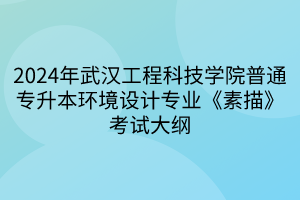 2024年武漢工程科技學(xué)院普通專升本環(huán)境設(shè)計專業(yè)《素描》考試大綱(1)