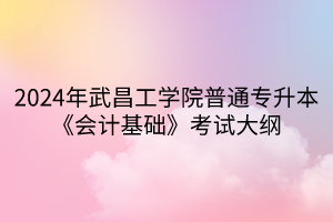 2024年武昌工學(xué)院普通專升本《會計(jì)基礎(chǔ)》考試大綱(1)