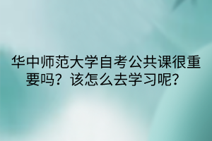 華中師范大學自考公共課很重要嗎？該怎么去學習呢？