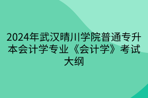 2024年武漢晴川學院普通專升本會計學專業(yè)《會計學》考試大綱(1)