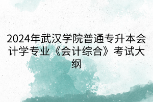 2024年武漢學(xué)院普通專升本會計學(xué)專業(yè)《會計綜合》考試大綱(1)