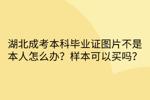 湖北成考本科畢業(yè)證圖片不是本人怎么辦？樣本可以買嗎？