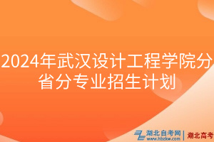 2024年武漢設(shè)計(jì)工程學(xué)院分省分專業(yè)招生計(jì)劃