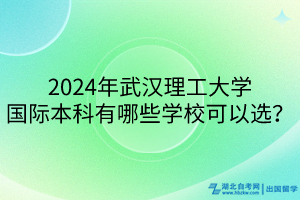 2024年武漢理工大學(xué)國際本科有哪些學(xué)?？梢赃x？