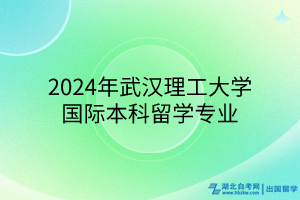 2024年武漢理工大學(xué)國(guó)際本科留學(xué)專業(yè)