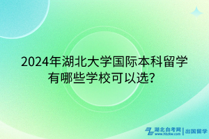 2024年湖北大學(xué)國際本科留學(xué)有哪些學(xué)校可以選？