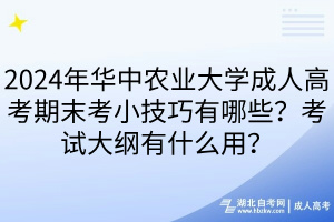 2024年華中農(nóng)業(yè)大學成人高考期末考小技巧有哪些？考試大綱有什么用？