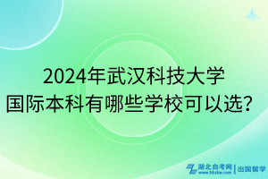 2024年武漢科技大學(xué)國際本科有哪些學(xué)?？梢赃x？