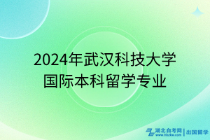 2024年武漢科技大學(xué)國際本科留學(xué)專業(yè)