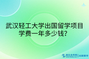 武漢輕工大學(xué)出國(guó)留學(xué)項(xiàng)目學(xué)費(fèi)一年多少錢？