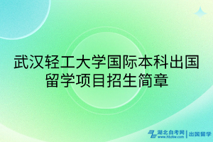 武漢輕工大學國際本科出國留學項目招生簡章