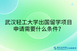 武漢輕工大學(xué)出國留學(xué)項(xiàng)目申請(qǐng)需要什么條件？