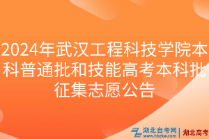 2024年武漢工程科技學院本科普通批和技能高考本科批征集志愿公告