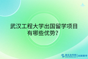 武漢工程大學出國留學項目有哪些優(yōu)勢？