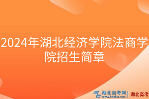 2024年湖北經濟學院法商學院招生簡章