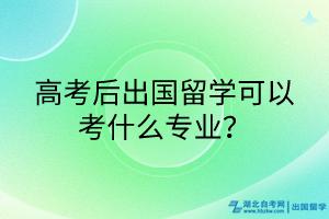 高考后出國(guó)留學(xué)可以考什么專業(yè)？