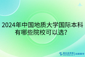 2024年中國地質(zhì)大學(xué)國際本科有哪些院?？梢赃x？