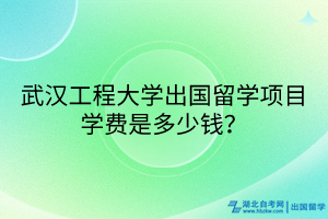 武漢工程大學(xué)出國留學(xué)項(xiàng)目學(xué)費(fèi)是多少錢？