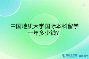 中國地質(zhì)大學國際本科留學一年多少錢？