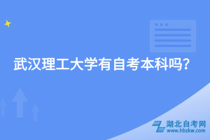 武漢理工大學(xué)有自考本科嗎？
