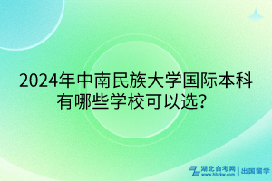 2024年中南民族大學國際本科有哪些學校可以選？