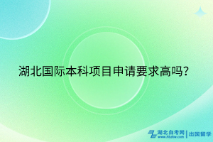 湖北國際本科項目申請要求高嗎？