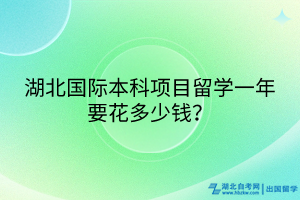 湖北國際本科項(xiàng)目一年要花多少錢？