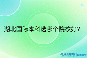 湖北國(guó)際本科選哪個(gè)院校好？