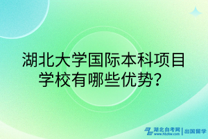 湖北大學(xué)國際本科項(xiàng)目學(xué)校有哪些優(yōu)勢？