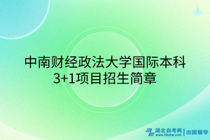 中南財(cái)經(jīng)政法大學(xué)國際本科3+1項(xiàng)目招生簡章