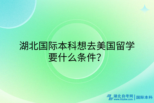 湖北國(guó)際本科想去美國(guó)留學(xué)要什么條件？