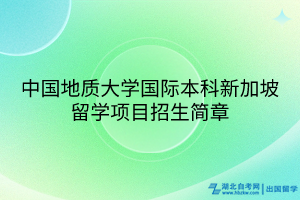 中國地質(zhì)大學(xué)國際本科新加坡留學(xué)項(xiàng)目招生簡章