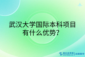 武漢大學國際本科項目有什么優(yōu)勢？