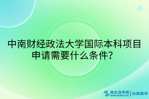 中南財經政法大學國際本科項目申請需要什么條件？