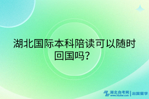 湖北國際本科陪讀可以隨時回國嗎？